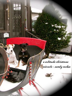 cover image of A Solitude Christmas Miracle -5th in Series-Amish Country Murder Mysteries